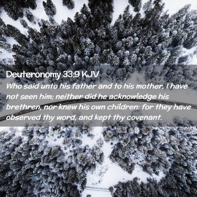 Picture 02 - Deuteronomy 33:9 KJV - Who said unto his father and to his mother, I - Bible Verse Picture