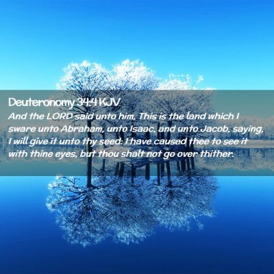 Picture 02 - Deuteronomy 34:4 KJV - And the LORD said unto him, This is the land - Bible Verse Picture