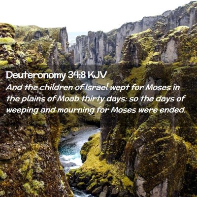 Picture 02 - Deuteronomy 34:8 KJV - And the children of Israel wept for Moses in the - Bible Verse Picture
