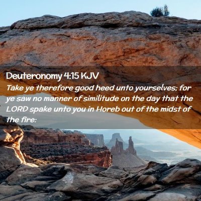 Picture 02 - Deuteronomy 4:15 KJV - Take ye therefore good heed unto yourselves; for - Bible Verse Picture