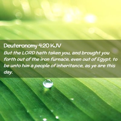 Picture 02 - Deuteronomy 4:20 KJV - But the LORD hath taken you, and brought you - Bible Verse Picture