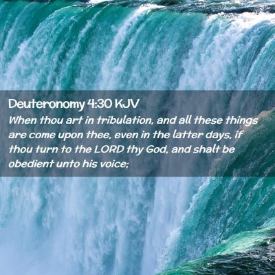 Picture 02 - Deuteronomy 4:30 KJV - When thou art in tribulation, and all these - Bible Verse Picture