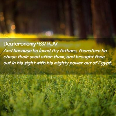 Picture 02 - Deuteronomy 4:37 KJV - And because he loved thy fathers, therefore he - Bible Verse Picture