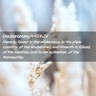 Picture 02 - Deuteronomy 4:43 KJV - Namely, Bezer in the wilderness, in the plain - Bible Verse Picture