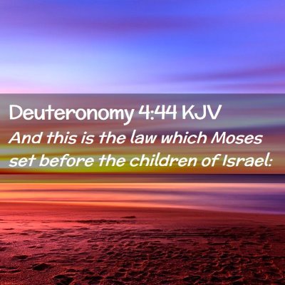 Picture 02 - Deuteronomy 4:44 KJV - And this is the law which Moses set before the - Bible Verse Picture