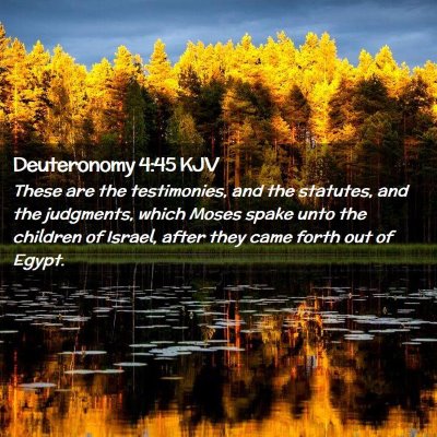 Picture 02 - Deuteronomy 4:45 KJV - These are the testimonies, and the statutes, and - Bible Verse Picture