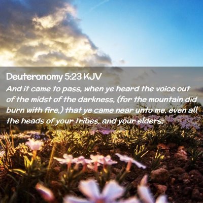Picture 02 - Deuteronomy 5:23 KJV - And it came to pass, when ye heard the voice out - Bible Verse Picture