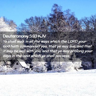 Picture 02 - Deuteronomy 5:33 KJV - Ye shall walk in all the ways which the LORD your - Bible Verse Picture