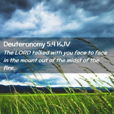 Picture 02 - Deuteronomy 5:4 KJV - The LORD talked with you face to face in the - Bible Verse Picture