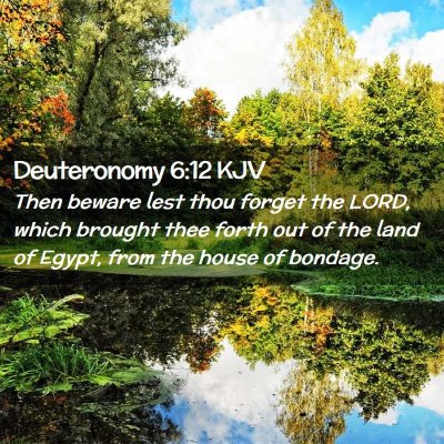 Picture 02 - Deuteronomy 6:12 KJV - Then beware lest thou forget the LORD, which - Bible Verse Picture