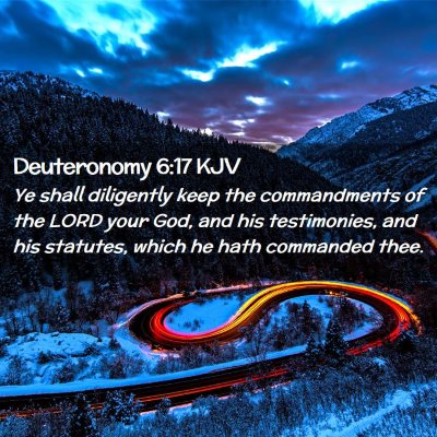 Picture 02 - Deuteronomy 6:17 KJV - Ye shall diligently keep the commandments of the - Bible Verse Picture