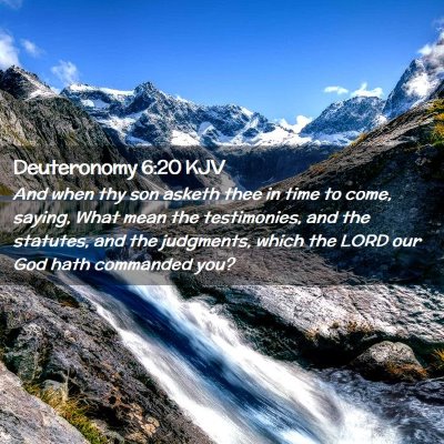 Picture 02 - Deuteronomy 6:20 KJV - And when thy son asketh thee in time to come, - Bible Verse Picture