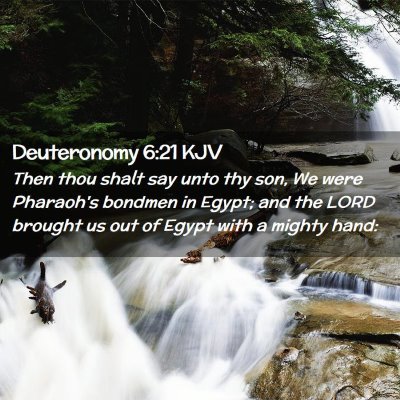 Picture 02 - Deuteronomy 6:21 KJV - Then thou shalt say unto thy son, We were - Bible Verse Picture