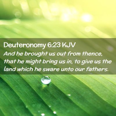 Picture 02 - Deuteronomy 6:23 KJV - And he brought us out from thence, that he might - Bible Verse Picture