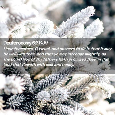 Picture 02 - Deuteronomy 6:3 KJV - Hear therefore, O Israel, and observe to do it; - Bible Verse Picture