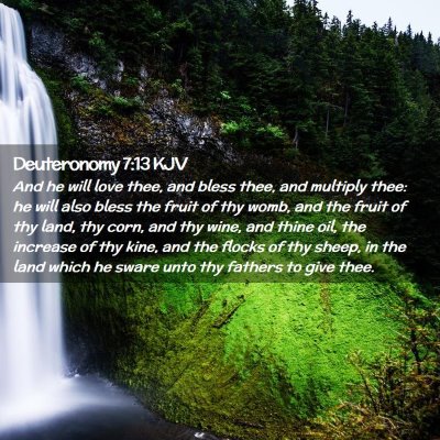 Picture 02 - Deuteronomy 7:13 KJV - And he will love thee, and bless thee, and - Bible Verse Picture