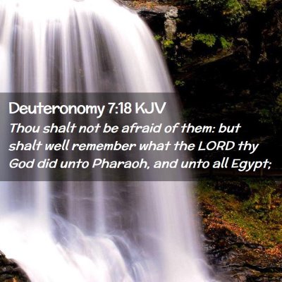 Picture 02 - Deuteronomy 7:18 KJV - Thou shalt not be afraid of them: but shalt well - Bible Verse Picture