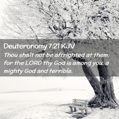 Picture 02 - Deuteronomy 7:21 KJV - Thou shalt not be affrighted at them: for the - Bible Verse Picture
