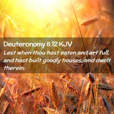 Picture 02 - Deuteronomy 8:12 KJV - Lest when thou hast eaten and art full, and hast - Bible Verse Picture