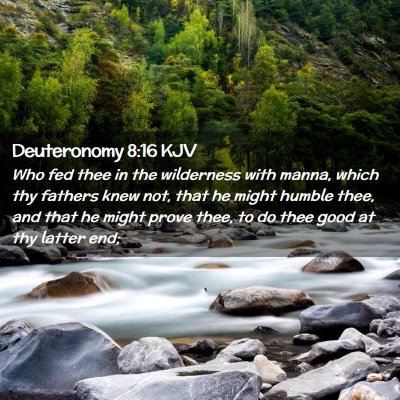 Picture 02 - Deuteronomy 8:16 KJV - Who fed thee in the wilderness with manna, which - Bible Verse Picture