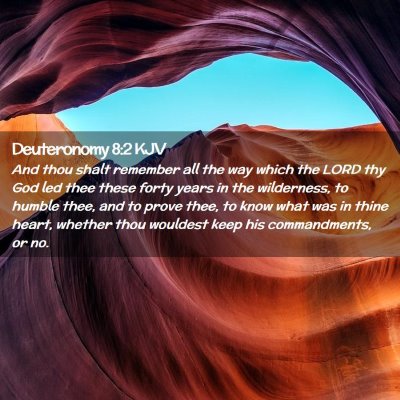 Picture 02 - Deuteronomy 8:2 KJV - And thou shalt remember all the way which the - Bible Verse Picture