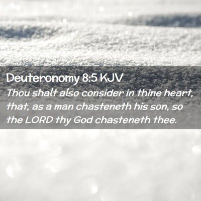 Picture 02 - Deuteronomy 8:5 KJV - Thou shalt also consider in thine heart, that, as - Bible Verse Picture
