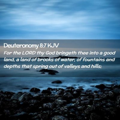 Picture 02 - Deuteronomy 8:7 KJV - For the LORD thy God bringeth thee into a good - Bible Verse Picture
