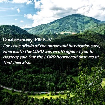 Picture 02 - Deuteronomy 9:19 KJV - For I was afraid of the anger and hot - Bible Verse Picture