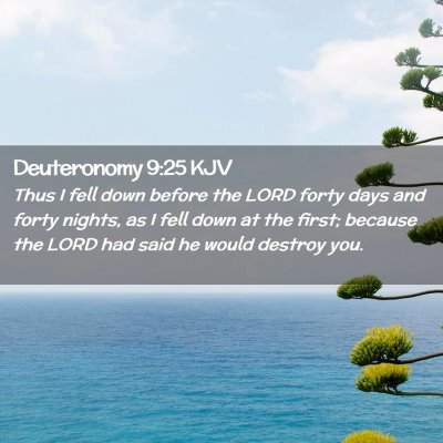Picture 02 - Deuteronomy 9:25 KJV - Thus I fell down before the LORD forty days and - Bible Verse Picture