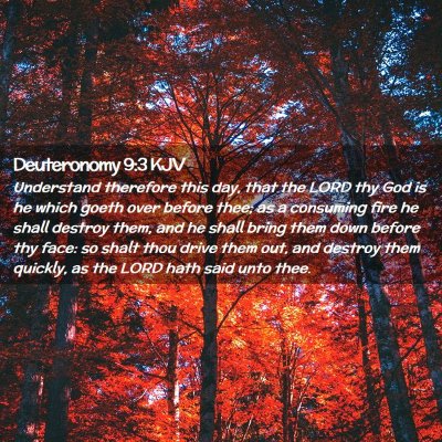 Picture 02 - Deuteronomy 9:3 KJV - Understand therefore this day, that the LORD thy - Bible Verse Picture