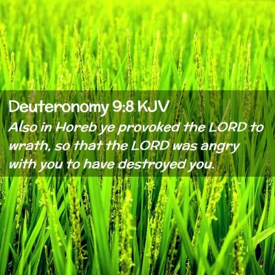 Picture 02 - Deuteronomy 9:8 KJV - Also in Horeb ye provoked the LORD to wrath, so - Bible Verse Picture