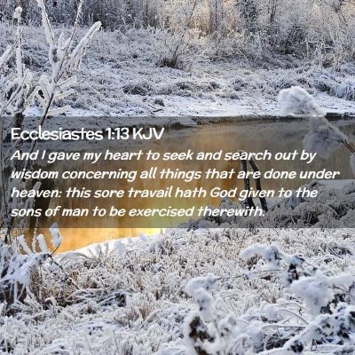 Picture 02 - Ecclesiastes 1:13 KJV - And I gave my heart to seek and search out by - Bible Verse Picture
