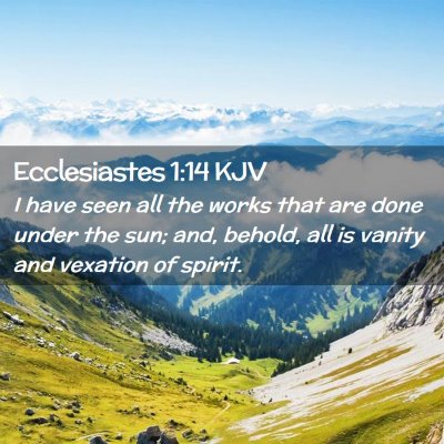 Picture 02 - Ecclesiastes 1:14 KJV - I have seen all the works that are done under the - Bible Verse Picture