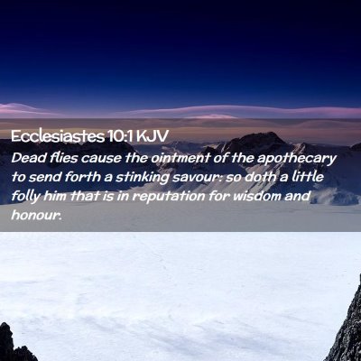 Picture 02 - Ecclesiastes 10:1 KJV - Dead flies cause the ointment of the apothecary - Bible Verse Picture