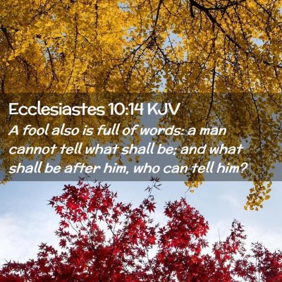 Picture 02 - Ecclesiastes 10:14 KJV - A fool also is full of words: a man cannot tell - Bible Verse Picture