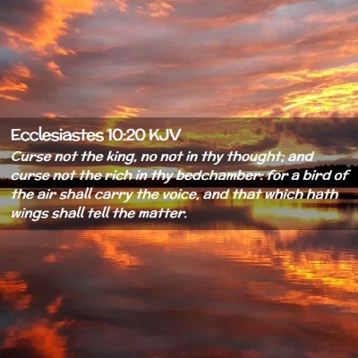 Picture 02 - Ecclesiastes 10:20 KJV - Curse not the king, no not in thy thought; and - Bible Verse Picture