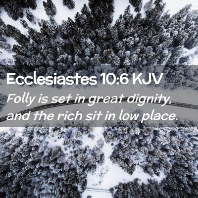Picture 02 - Ecclesiastes 10:6 KJV - Folly is set in great dignity, and the rich sit - Bible Verse Picture