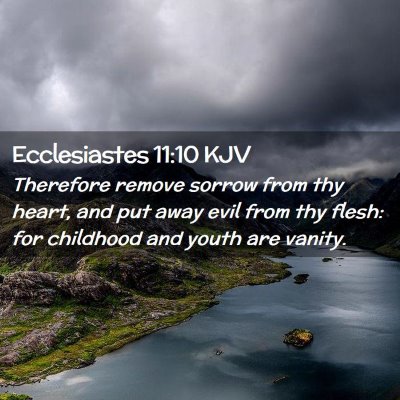 Picture 02 - Ecclesiastes 11:10 KJV - Therefore remove sorrow from thy heart, and put - Bible Verse Picture