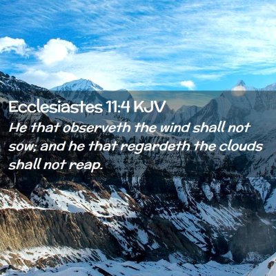 Picture 02 - Ecclesiastes 11:4 KJV - He that observeth the wind shall not sow; and he - Bible Verse Picture