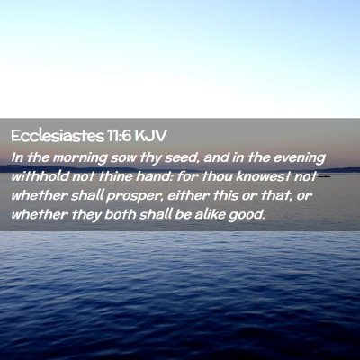 Picture 02 - Ecclesiastes 11:6 KJV - In the morning sow thy seed, and in the evening - Bible Verse Picture