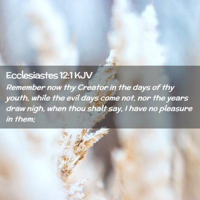 Picture 02 - Ecclesiastes 12:1 KJV - Remember now thy Creator in the days of thy - Bible Verse Picture