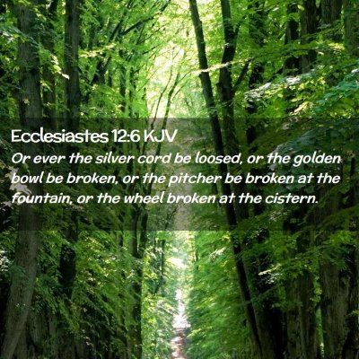 Picture 02 - Ecclesiastes 12:6 KJV - Or ever the silver cord be loosed, or the golden - Bible Verse Picture