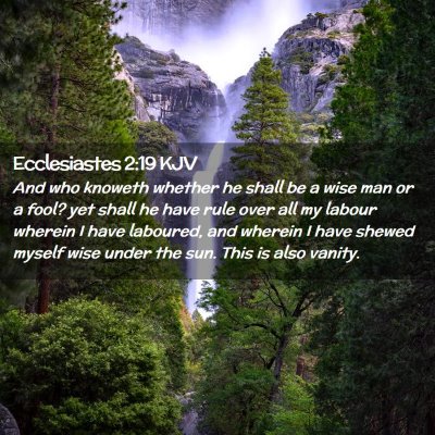 Picture 02 - Ecclesiastes 2:19 KJV - And who knoweth whether he shall be a wise man or - Bible Verse Picture