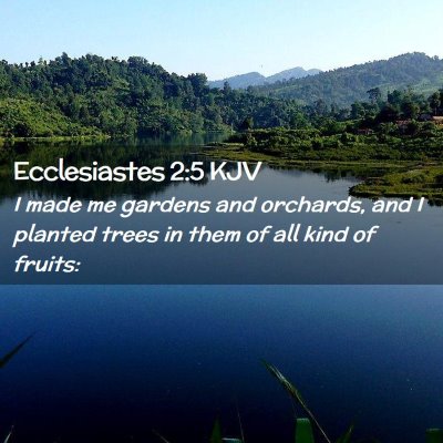 Picture 02 - Ecclesiastes 2:5 KJV - I made me gardens and orchards, and I planted - Bible Verse Picture