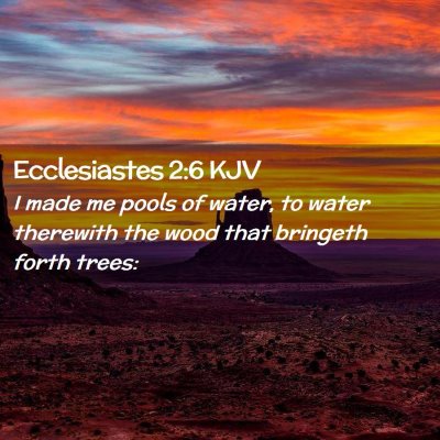 Picture 02 - Ecclesiastes 2:6 KJV - I made me pools of water, to water therewith the - Bible Verse Picture