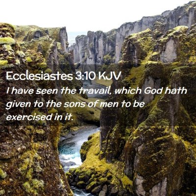 Picture 02 - Ecclesiastes 3:10 KJV - I have seen the travail, which God hath given to - Bible Verse Picture