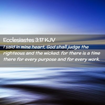 Picture 02 - Ecclesiastes 3:17 KJV - I said in mine heart, God shall judge the - Bible Verse Picture