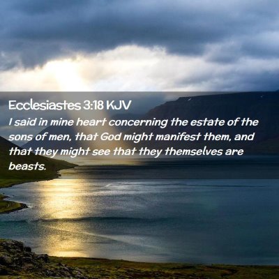 Picture 02 - Ecclesiastes 3:18 KJV - I said in mine heart concerning the estate of the - Bible Verse Picture