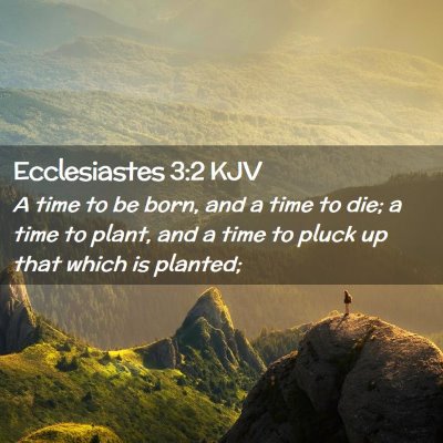 Picture 02 - Ecclesiastes 3:2 KJV - A time to be born, and a time to die; a time to - Bible Verse Picture