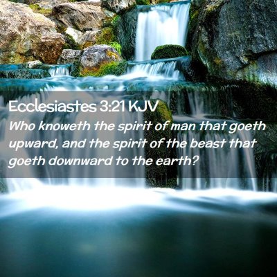 Picture 02 - Ecclesiastes 3:21 KJV - Who knoweth the spirit of man that goeth upward, - Bible Verse Picture